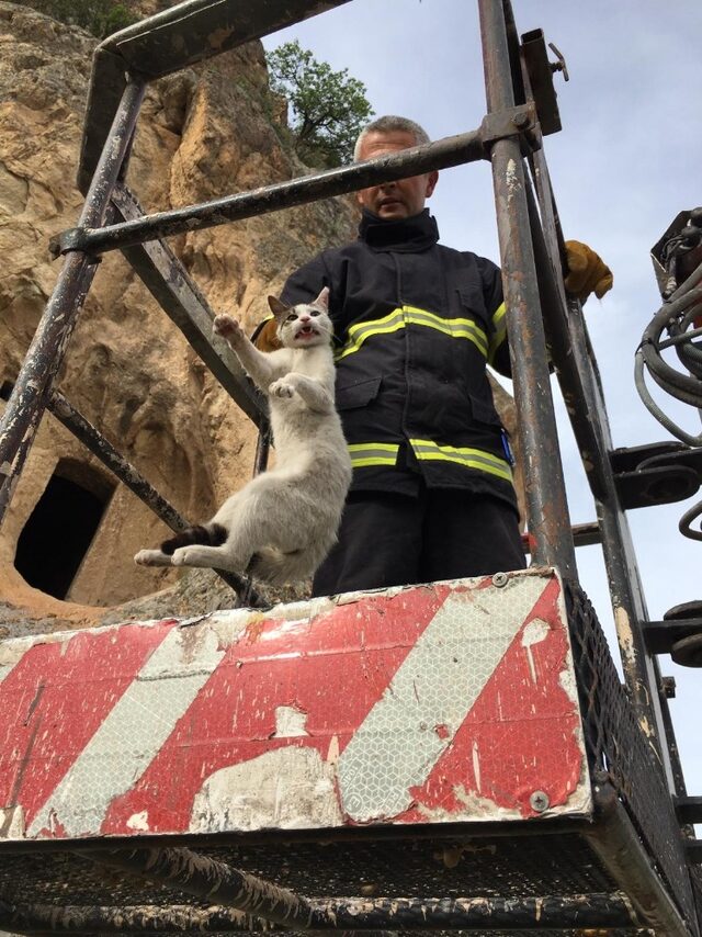 Şırnak’ta Kedi kurtarma operasyonu