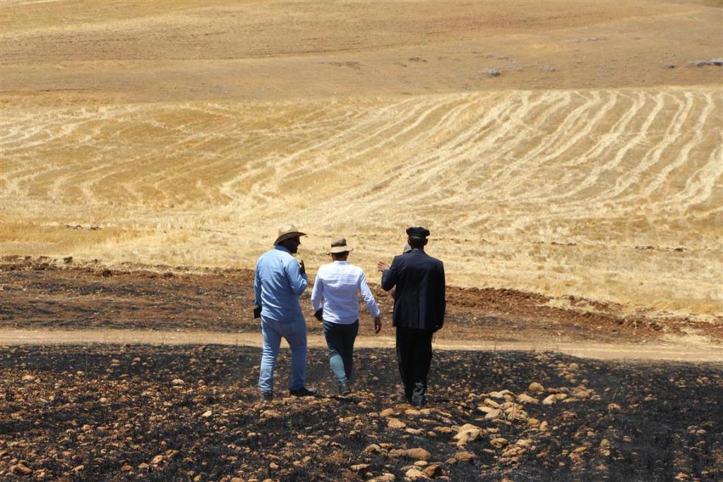 Şırnak’ta 1500 dönüm arazi yandı, mühendisler uyardı!