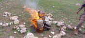 Şırnak’ta Kınalı keklikler doğal ortamlarına bırakıldı kafesleri yakıldı