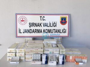 Şırnak’ta asayiş ve kaçakçılık operasyonu: 49 gözaltı