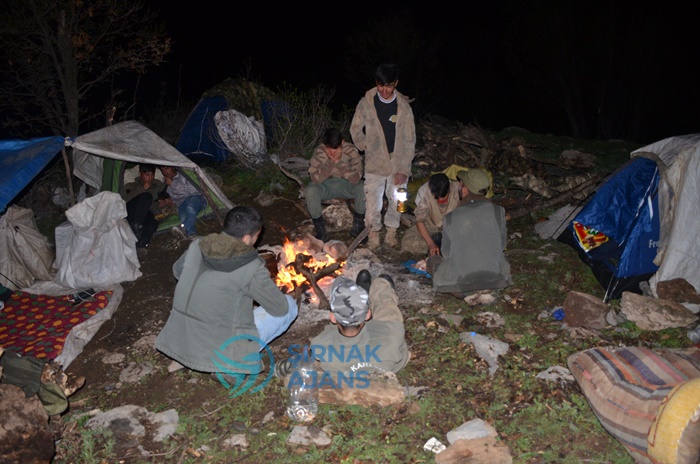 Şırnak’ta hem kamp kuruyorlar hem de para kazanıyorlar