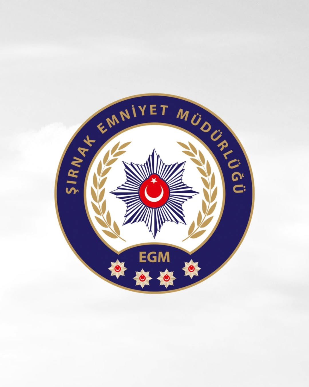 Şırnak’ta Bilişim Sistemleri Dolandırıcıları Yakalandı