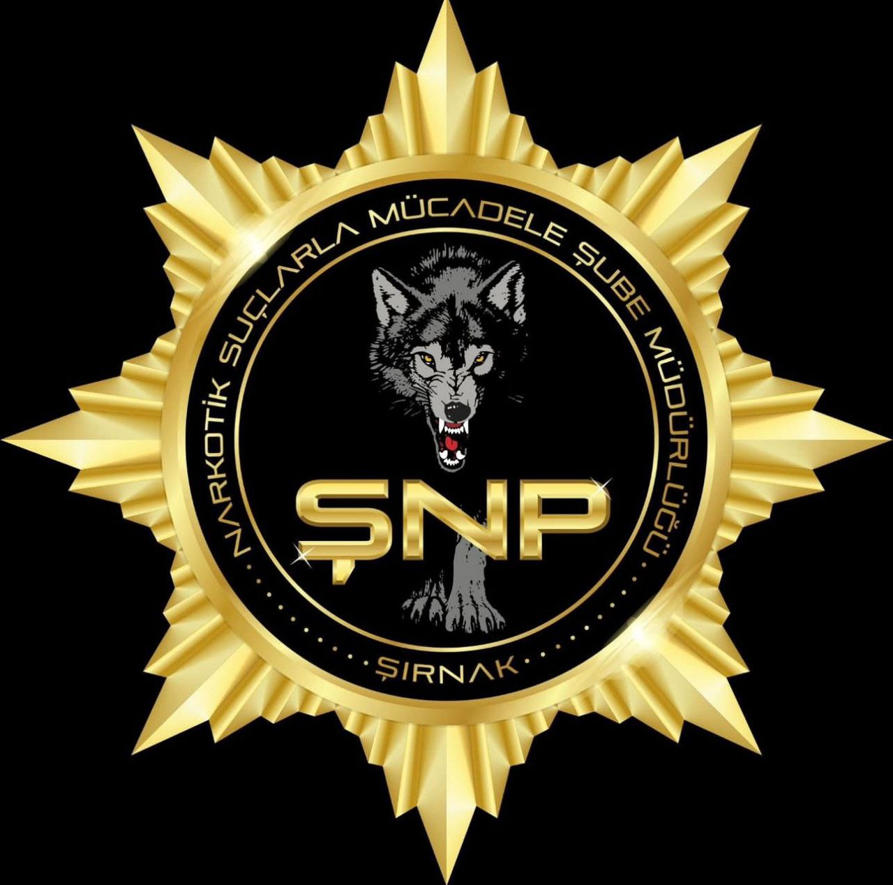 Aranan Uyuşturucu Satıcısı Şırnak’ta Yakalandı