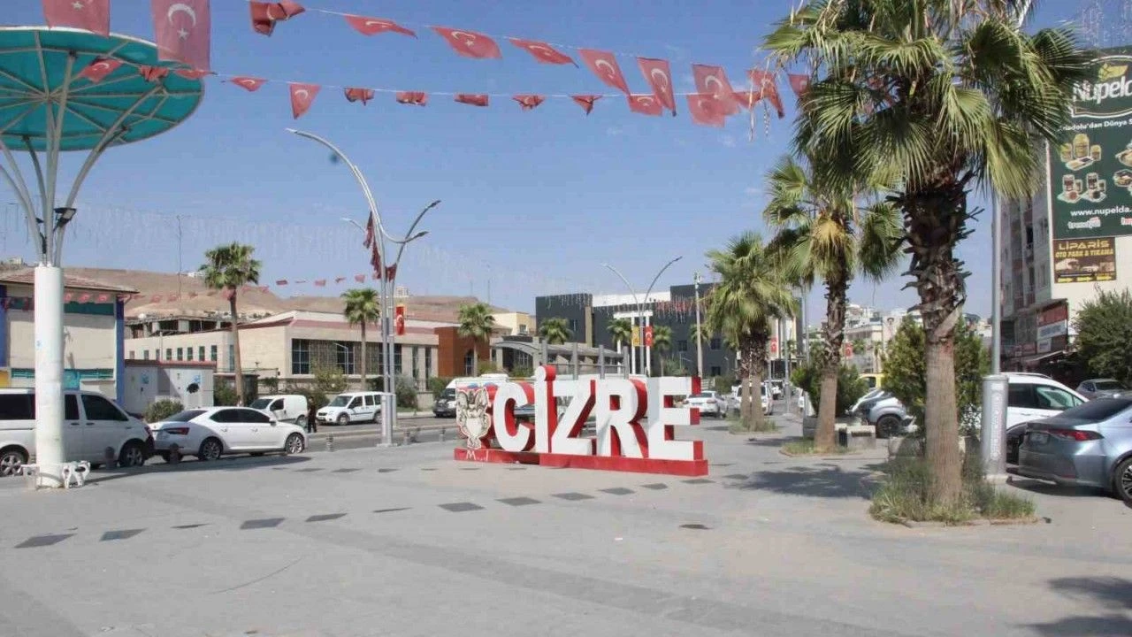Şiddetsiz ve Özgür Bir Yaşam İçin Cizre’de Etkinlik